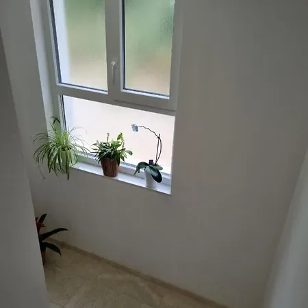 Apartamento Tolj *