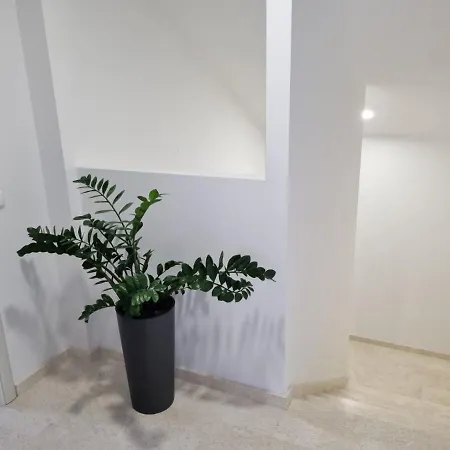 Apartamento Tolj *